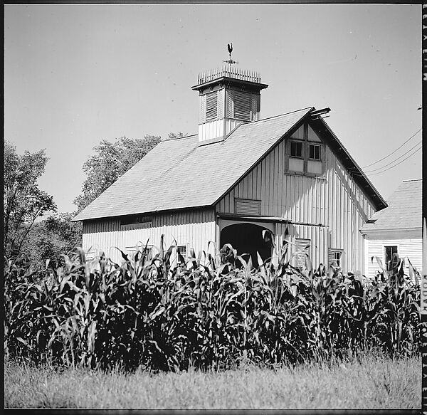 [141 Architectural Studies of Pennsylvania Station, New York City, Including Four Rural Studies of a Barn, Commissioned by Life Magazine for "America's Heritage of Great Architecture is Doomed...It Must be Saved", Published July 5, 1963], Walker Evans (American, St. Louis, Missouri 1903–1975 New Haven, Connecticut), Film negative