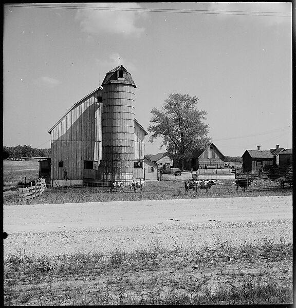 [151 Views of Rural and Suburban Illinois, Including: Farmlands and Architecture, Graveyards, Galena Scenes, Portraits of Suzette Morton Hamill, and Glencoe House, Lake Forest], Walker Evans (American, St. Louis, Missouri 1903–1975 New Haven, Connecticut), Film negative