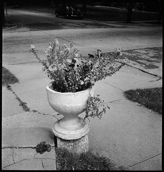 [151 Views of Rural and Suburban Illinois, Including: Farmlands and Architecture, Graveyards, Galena Scenes, Portraits of Suzette Morton Hamill, and Glencoe House, Lake Forest], Walker Evans (American, St. Louis, Missouri 1903–1975 New Haven, Connecticut), Film negative