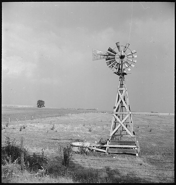 [151 Views of Rural and Suburban Illinois, Including: Farmlands and Architecture, Graveyards, Galena Scenes, Portraits of Suzette Morton Hamill, and Glencoe House, Lake Forest], Walker Evans (American, St. Louis, Missouri 1903–1975 New Haven, Connecticut), Film negative