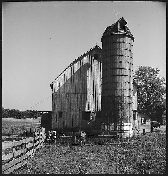 [151 Views of Rural and Suburban Illinois, Including: Farmlands and Architecture, Graveyards, Galena Scenes, Portraits of Suzette Morton Hamill, and Glencoe House, Lake Forest], Walker Evans (American, St. Louis, Missouri 1903–1975 New Haven, Connecticut), Film negative
