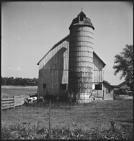 [151 Views of Rural and Suburban Illinois, Including: Farmlands and Architecture, Graveyards, Galena Scenes, Portraits of Suzette Morton Hamill, and Glencoe House, Lake Forest], Walker Evans (American, St. Louis, Missouri 1903–1975 New Haven, Connecticut), Film negative