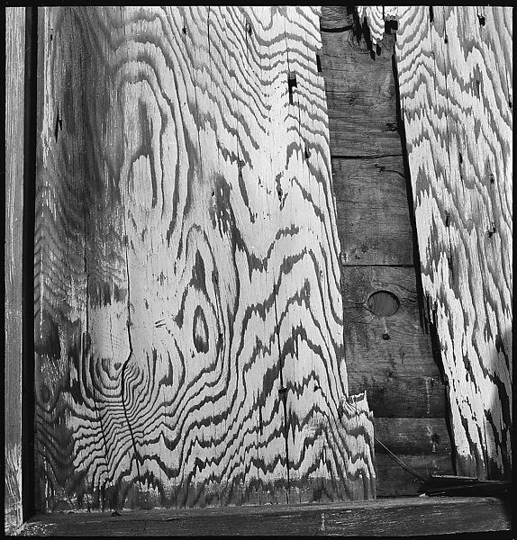 [151 Views of Rural and Suburban Illinois, Including: Farmlands and Architecture, Graveyards, Galena Scenes, Portraits of Suzette Morton Hamill, and Glencoe House, Lake Forest], Walker Evans (American, St. Louis, Missouri 1903–1975 New Haven, Connecticut), Film negative