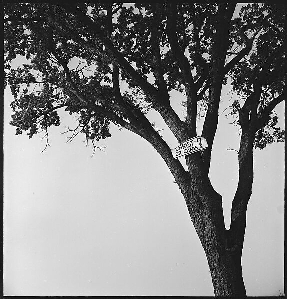 [151 Views of Rural and Suburban Illinois, Including: Farmlands and Architecture, Graveyards, Galena Scenes, Portraits of Suzette Morton Hamill, and Glencoe House, Lake Forest], Walker Evans (American, St. Louis, Missouri 1903–1975 New Haven, Connecticut), Film negative