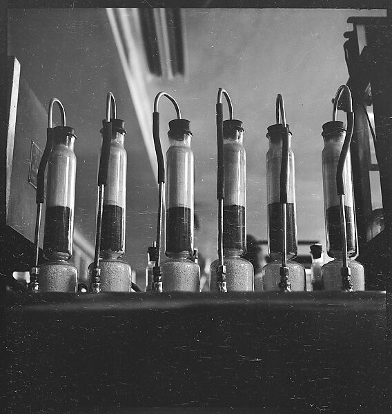 [194 Views of Ford River Rouge Automobile Plant, Dearborn, Michigan, Including: Industrial Architecture, Factory Workers, Plant Interiors,, Walker Evans (American, St. Louis, Missouri 1903–1975 New Haven, Connecticut), Film negative 