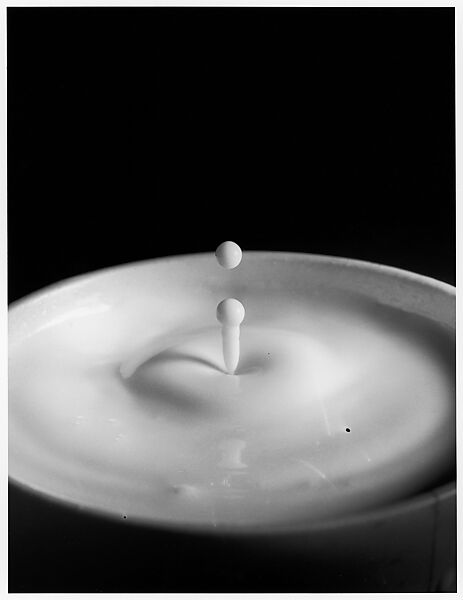 [Milk Drop Falling Into Reservoir of Milk (8/9)], Harold Edgerton (American, 1903–1990), Gelatin silver print 