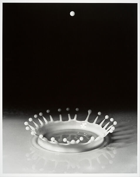 [Milk-Drop Coronet Splash], Harold Edgerton (American, 1903–1990), Gelatin silver print 