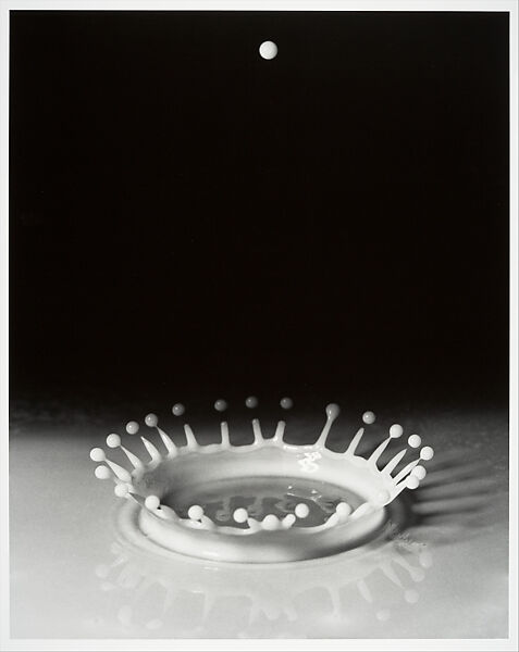 Harold Edgerton | [Milk-Drop Coronet Splash] | The Metropolitan