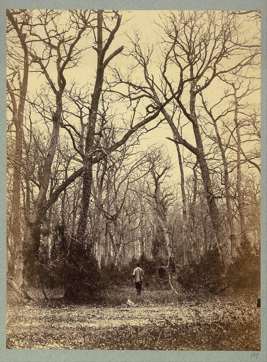 [Man in a Forest Landscape], Constant Alexandre Famin (French, 1827–1888), Albumen silver print from glass negative 