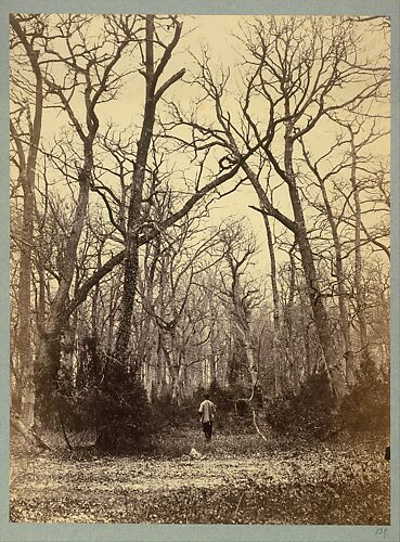 [Man in a Forest Landscape]