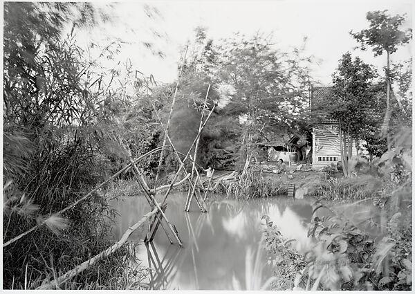 Dong Thap, Southern Vietnam, An-My Lê (American, born Saigon, 1960), Gelatin silver print 