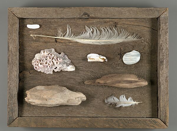[Assemblage on Wood Base with Driftwood, Feathers, Stones, and Shells]