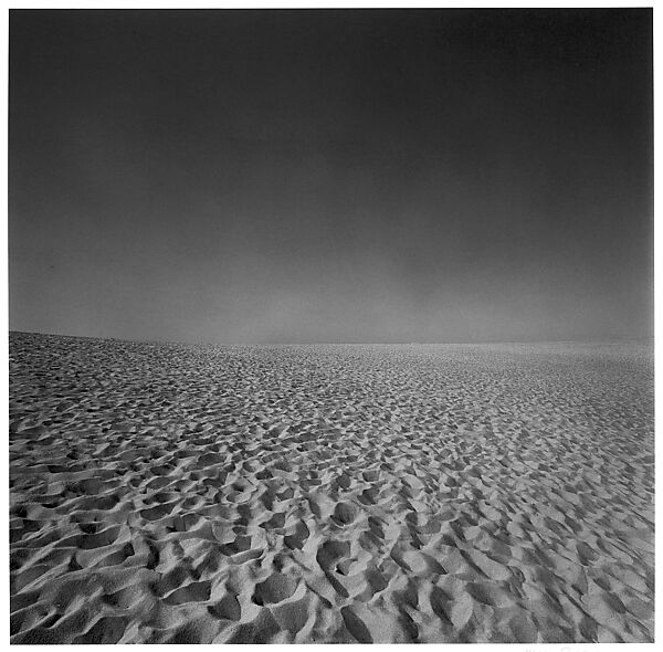 Cape Cod, Harry Callahan (American, Detroit, Michigan 1912–1999 Atlanta, Georgia), Gelatin silver print 