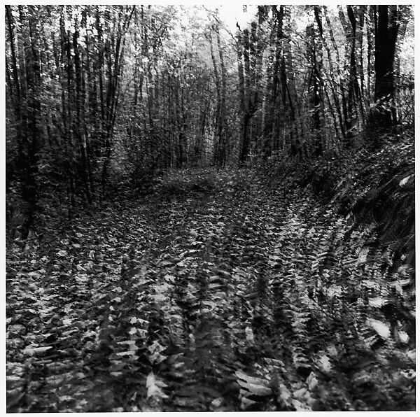 [Blurred View of Leaves and Trees], Ralph Eugene Meatyard (American, 1925–1972), Gelatin silver print 