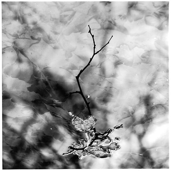 [Twig and Leaves in Water], Ralph Eugene Meatyard (American, 1925–1972), Gelatin silver print 