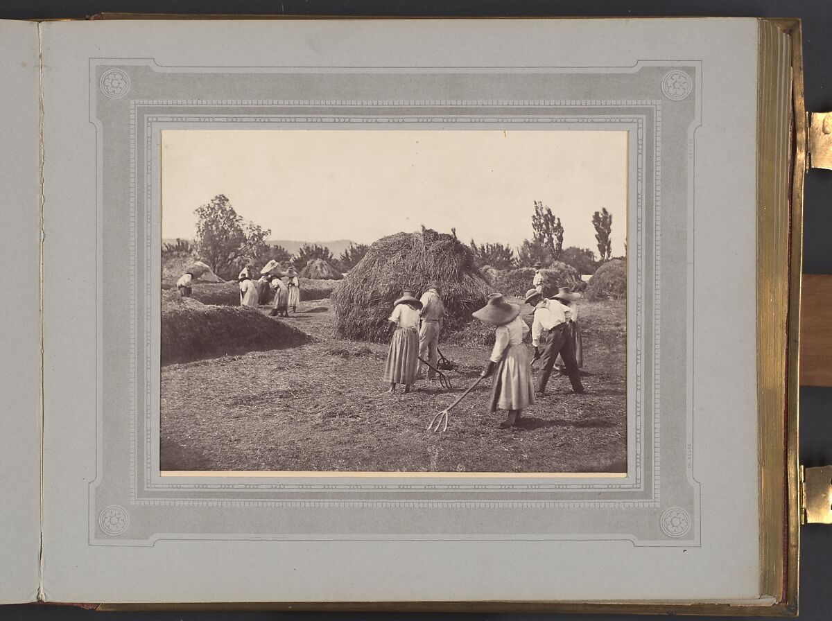 Le Midi de la France, Charles Nègre (French, 1820–1880), Albumen silver prints