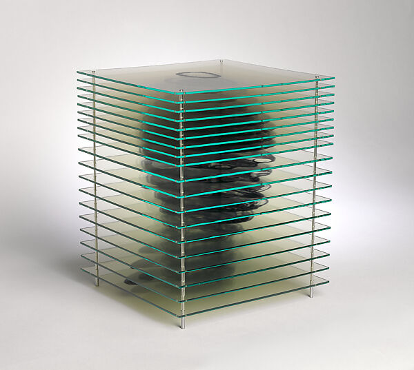 Trap - self portrait, Justine Cooper (Australian, born 1968), Transparent film mounted on plexiglass