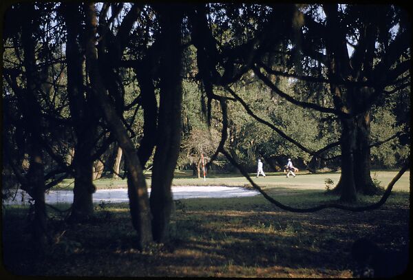 [493 Views of Golf Courses, for Fortune Article "October's Game"], Walker Evans (American, St. Louis, Missouri 1903–1975 New Haven, Connecticut), Color film transparency