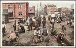 [66 Postcards Published by Detroit Publishing Company Collected by Walker Evans], Photomechanical prints