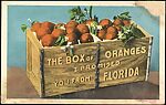 [78 Postcards of Comic Subjects Collected by Walker Evans], Photomechanical prints