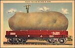 [78 Postcards of Comic Subjects Collected by Walker Evans], Photomechanical prints