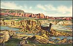 [60 Postcards of Natural Formations Collected by Walker Evans], Photomechanical prints