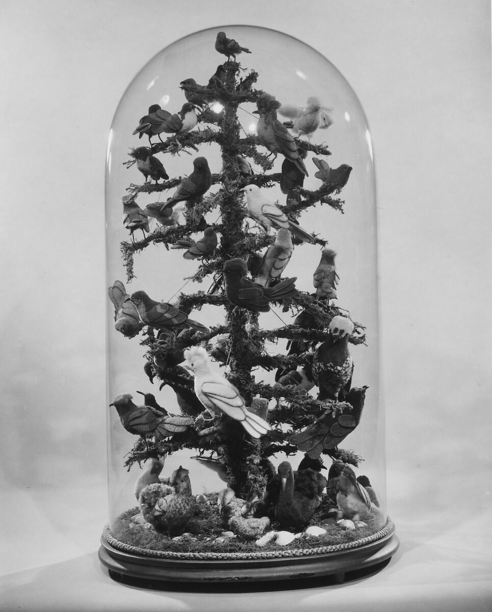 Aviary, Wool, twigs, moss, brass, glass, American