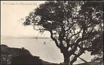 [8 Postcards of Mare Island, California Collected by Walker Evans], Photomechanical prints