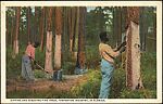 [70 Postcards of African Americans Collected by Walker Evans], Photomechanical prints