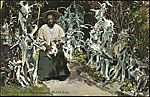 [20 Postcards of African Americans Collected by Walker Evans], Photomechanical prints