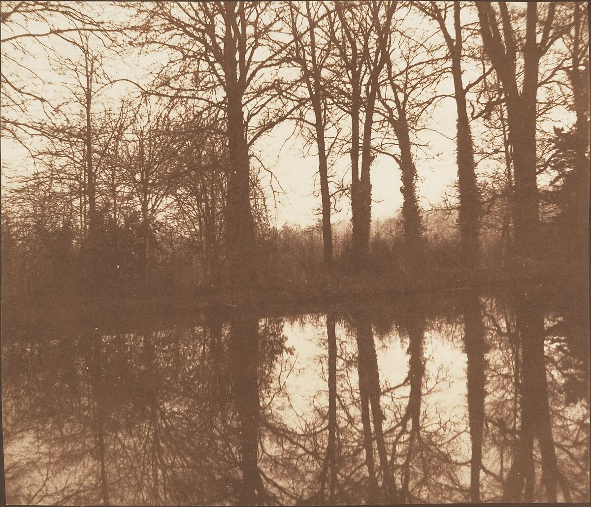 [Winter Trees, Reflected in a Pond], William Henry Fox Talbot (British, Dorset 1800–1877 Lacock), Salted paper print from paper negative 