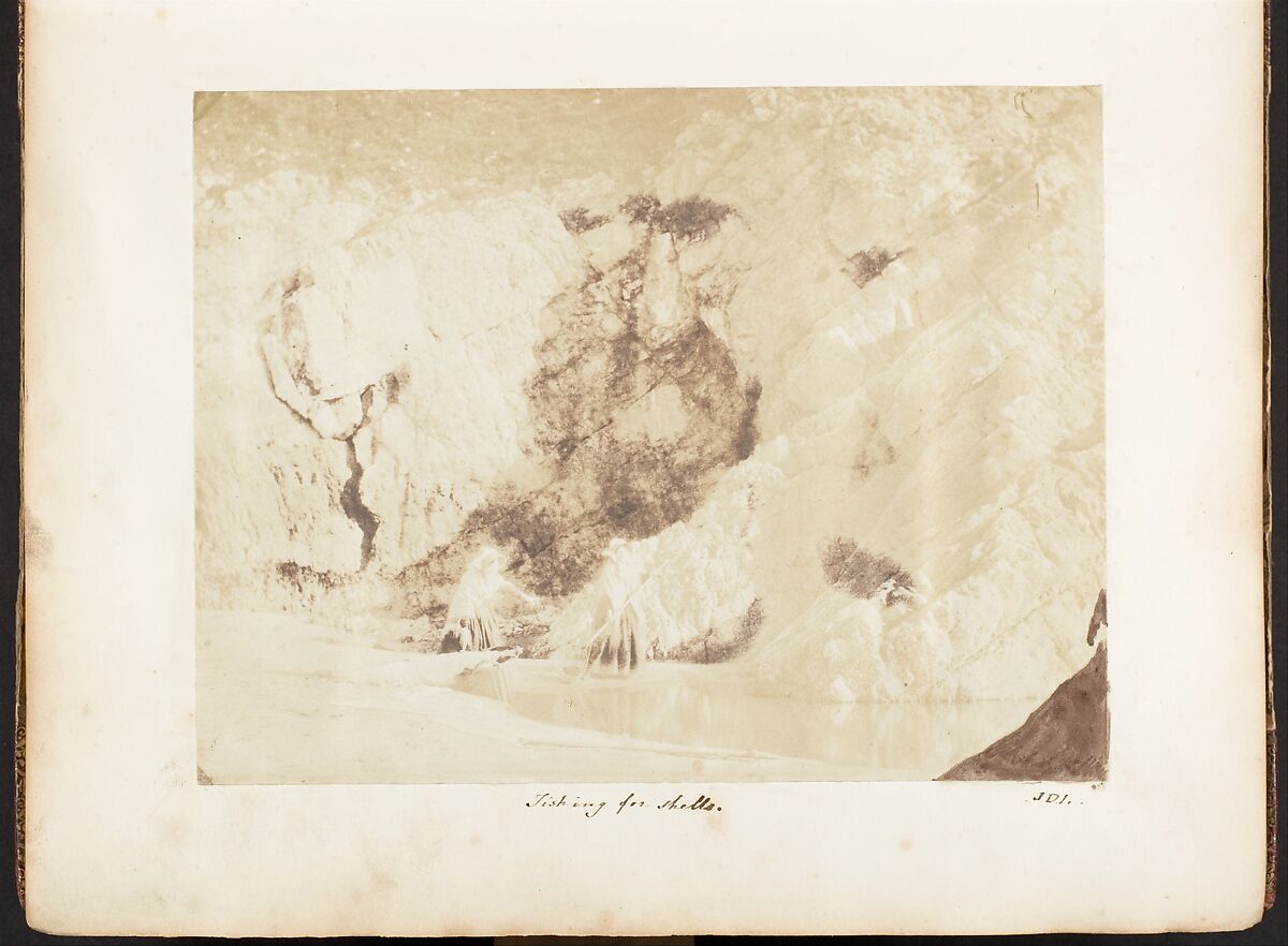 [Emma Charlotte Dillwyn Llewelyn's Album], John Dillwyn Llewelyn (British, Swansea, Wales 1810–1882 Swansea, Wales), 128 salted paper prints and albumen silver prints from paper and glass negatives