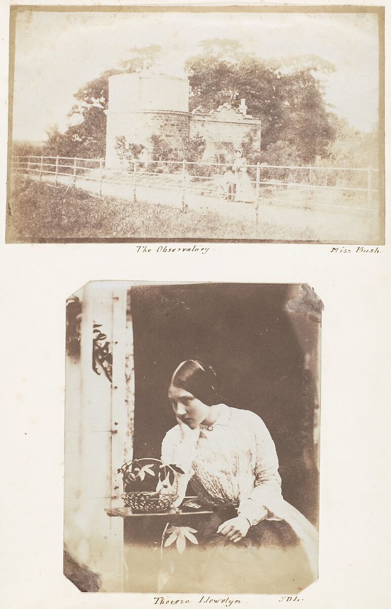 [Emma Charlotte Dillwyn Llewelyn's Album], John Dillwyn Llewelyn (British, Swansea, Wales 1810–1882 Swansea, Wales), 128 salted paper prints and albumen silver prints from paper and glass negatives