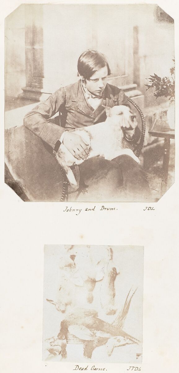 [Emma Charlotte Dillwyn Llewelyn's Album], John Dillwyn Llewelyn (British, Swansea, Wales 1810–1882 Swansea, Wales), 128 salted paper prints and albumen silver prints from paper and glass negatives