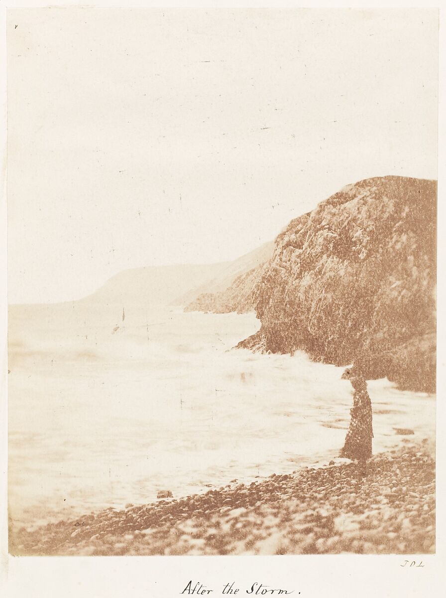 [Emma Charlotte Dillwyn Llewelyn's Album], John Dillwyn Llewelyn (British, Swansea, Wales 1810–1882 Swansea, Wales), 128 salted paper prints and albumen silver prints from paper and glass negatives