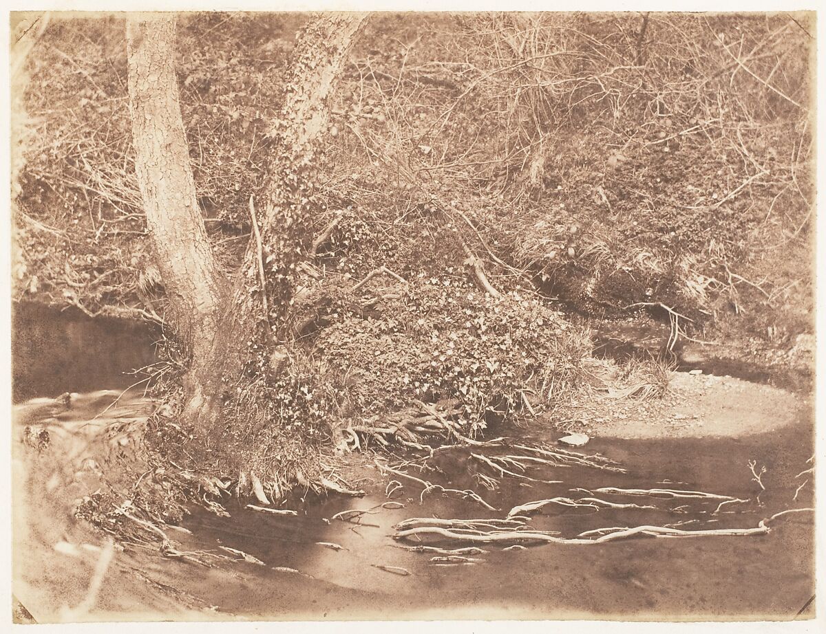 [Emma Charlotte Dillwyn Llewelyn's Album], John Dillwyn Llewelyn (British, Swansea, Wales 1810–1882 Swansea, Wales), 128 salted paper prints and albumen silver prints from paper and glass negatives
