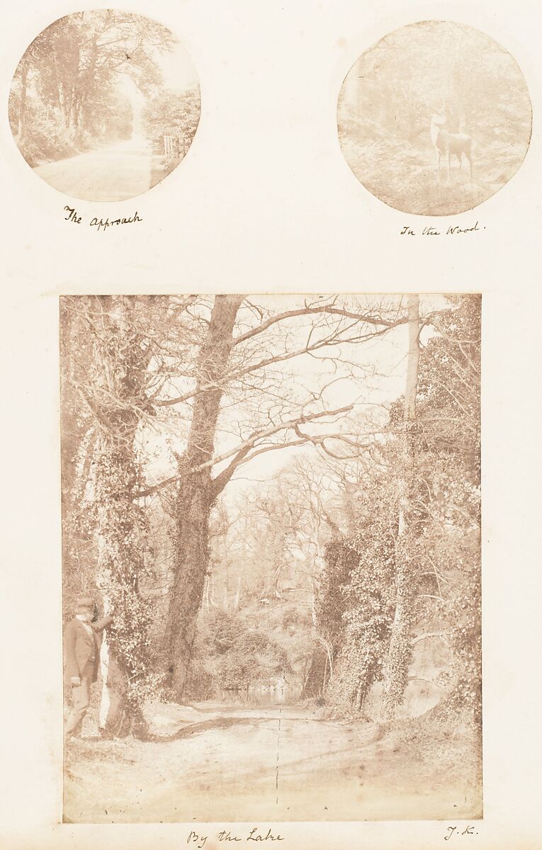 [Emma Charlotte Dillwyn Llewelyn's Album], John Dillwyn Llewelyn (British, Swansea, Wales 1810–1882 Swansea, Wales), 128 salted paper prints and albumen silver prints from paper and glass negatives