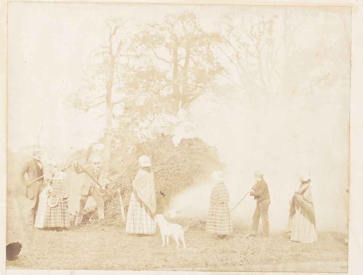 [Emma Charlotte Dillwyn Llewelyn's Album], John Dillwyn Llewelyn (British, Swansea, Wales 1810–1882 Swansea, Wales), 128 salted paper prints and albumen silver prints from paper and glass negatives