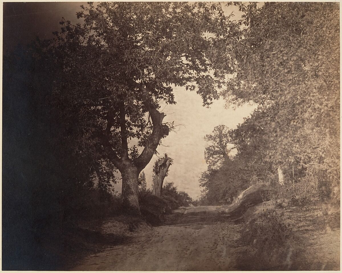 Fontainebleau, chemin sablonneux montant, Gustave Le Gray (French, 1820–1884), Albumen silver print from glass negative 