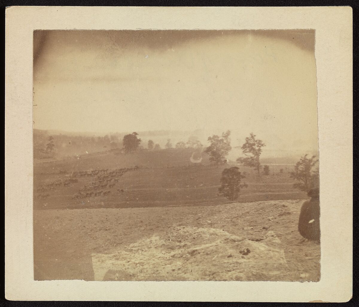 [Antietam Battlefield], Alexander Gardner (American, Glasgow, Scotland 1821–1882 Washington, D.C.), Albumen silver print from glass negative 
