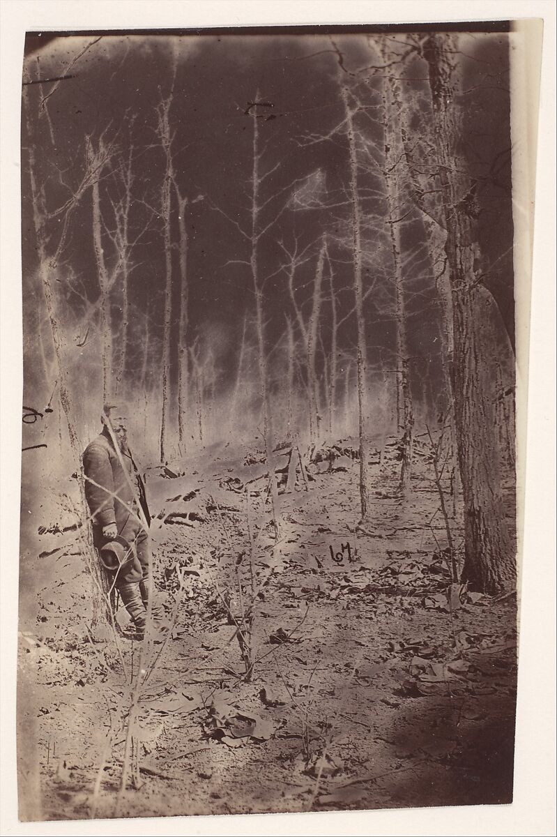 [The Wilderness Battlefield, near Spotsylvania, Virginia], Unknown (American), Albumen silver print from glass negative 