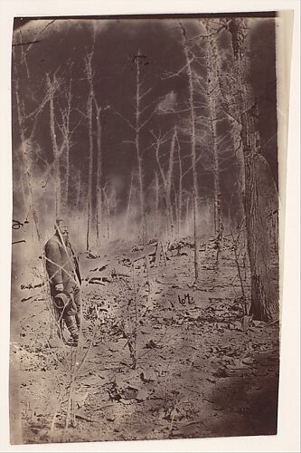 [The Wilderness Battlefield, near Spotsylvania, Virginia]