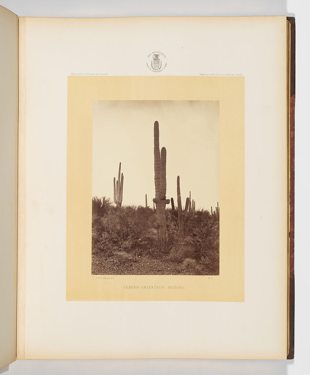 Photographs Showing Landscapes, Geological and Other Features, of Portions of the Western Territory of the United States, Obtained in connection with Geographical and Geological Explorations and Surveys West of the 100th Meridian, Seasons of 1871, 1872 and 1873, Timothy H. O'Sullivan (American, born Ireland, 1840–1882), Albumen silver prints from glass negatives