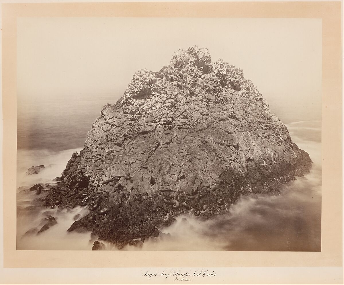 Sugar Loaf Islands, Farallons, Carleton E. Watkins (American, 1829–1916), Albumen silver print from glass negative 