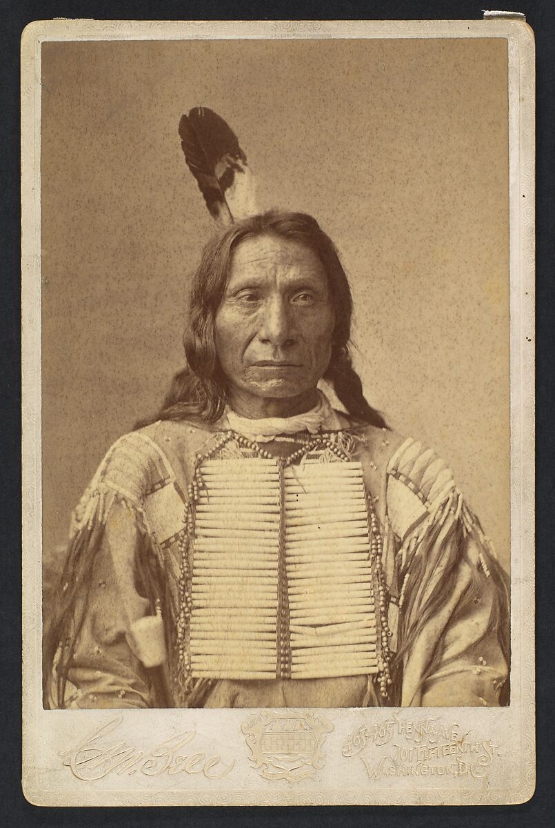 Maȟpíya Lúta (Red Cloud), Charles Milton Bell (American, 1848–1893), Albumen silver print from glass negative 