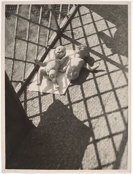 moholy nagy photography