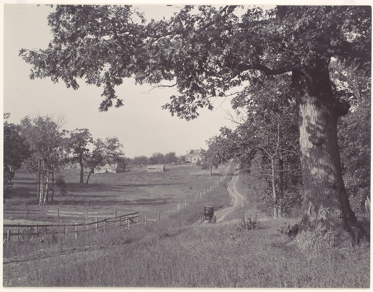 [Wisconsin Landscape], Henry Hamilton Bennett (American, 1843–1908), Albumen silver print 