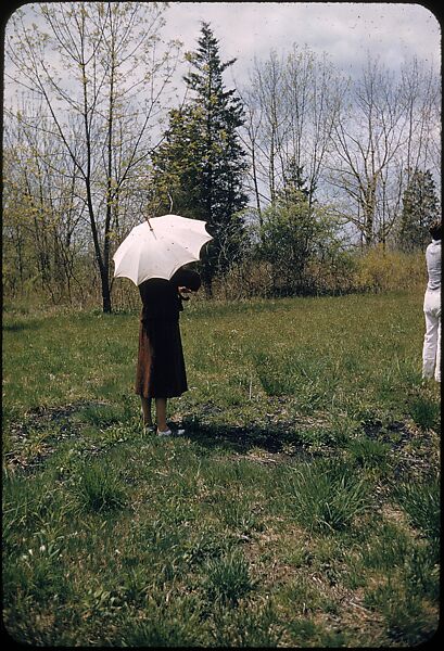 [1096 Views of the Henley Royal Regatta for Sports Illustrated Article, "Henley Forever"], Walker Evans (American, St. Louis, Missouri 1903–1975 New Haven, Connecticut), Color film transparency