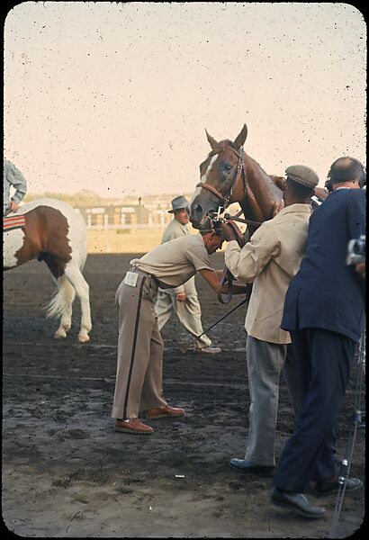 [306 Views of Aqueduct Raceway for Unpublished Sports Illustrated Article], Walker Evans (American, St. Louis, Missouri 1903–1975 New Haven, Connecticut), Color film transparency