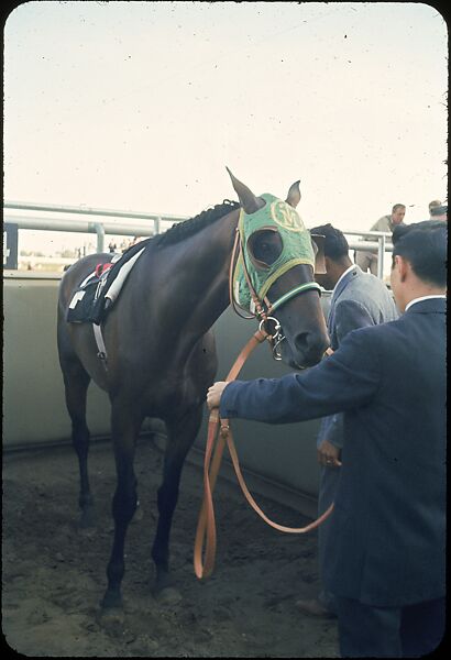 [306 Views of Aqueduct Raceway for Unpublished Sports Illustrated Article], Walker Evans (American, St. Louis, Missouri 1903–1975 New Haven, Connecticut), Color film transparency